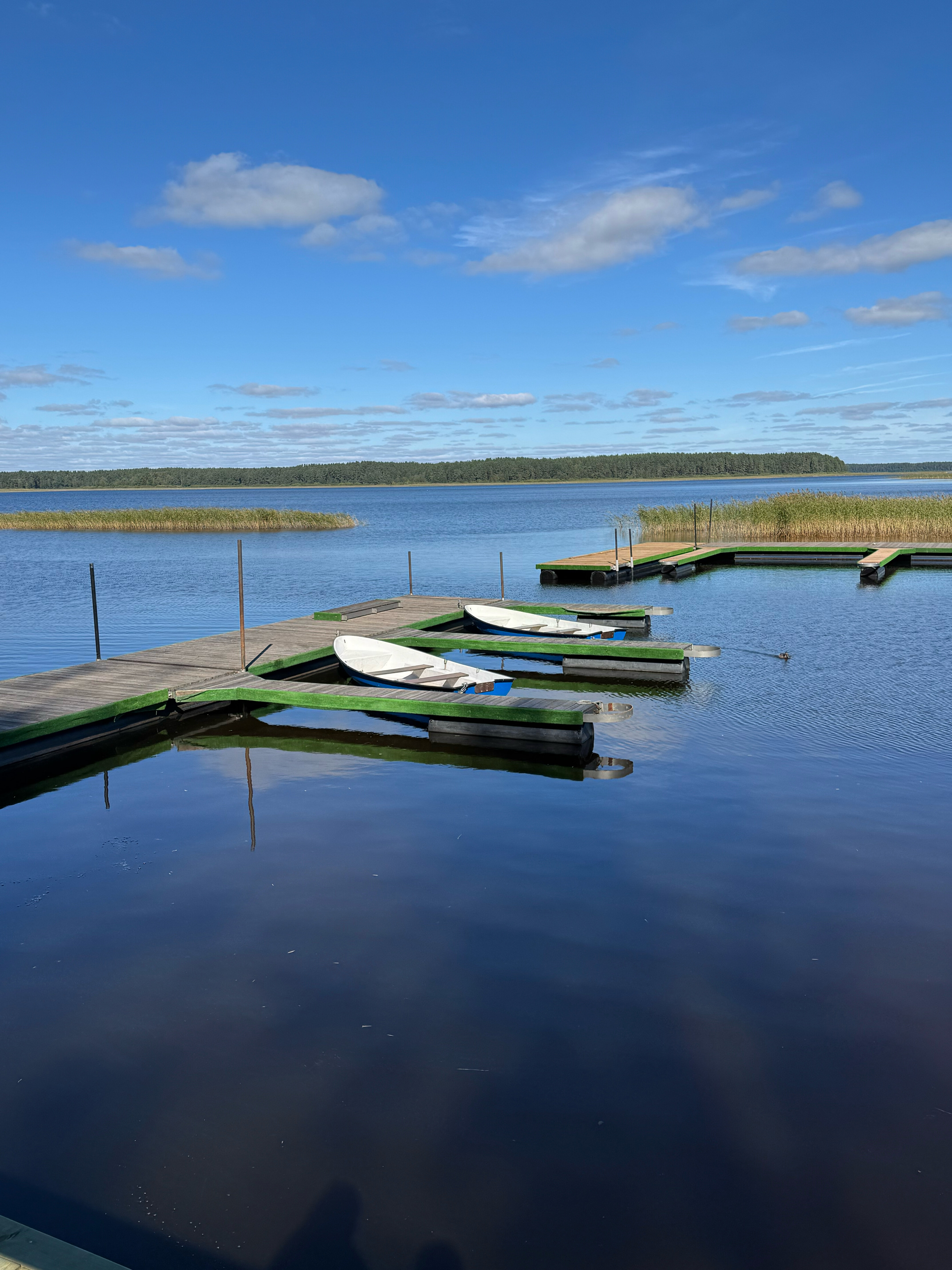 Фото Эковиладж Селигер