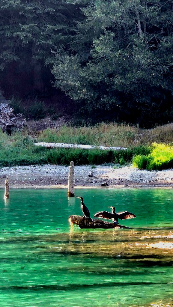 Nature reserve Suluklu Lake Nature Park, Mudurnu, photo
