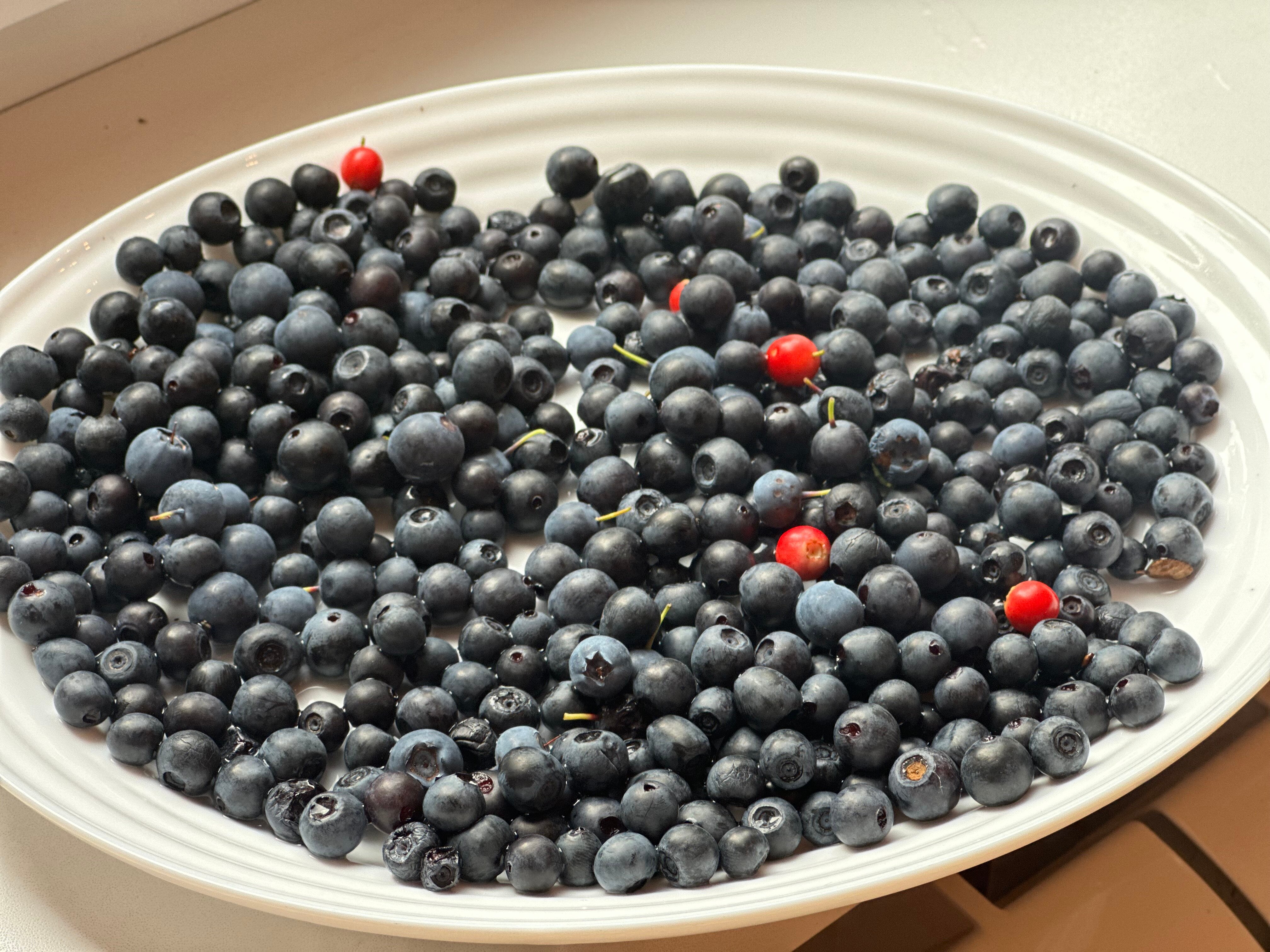 Фото Страна семи сов