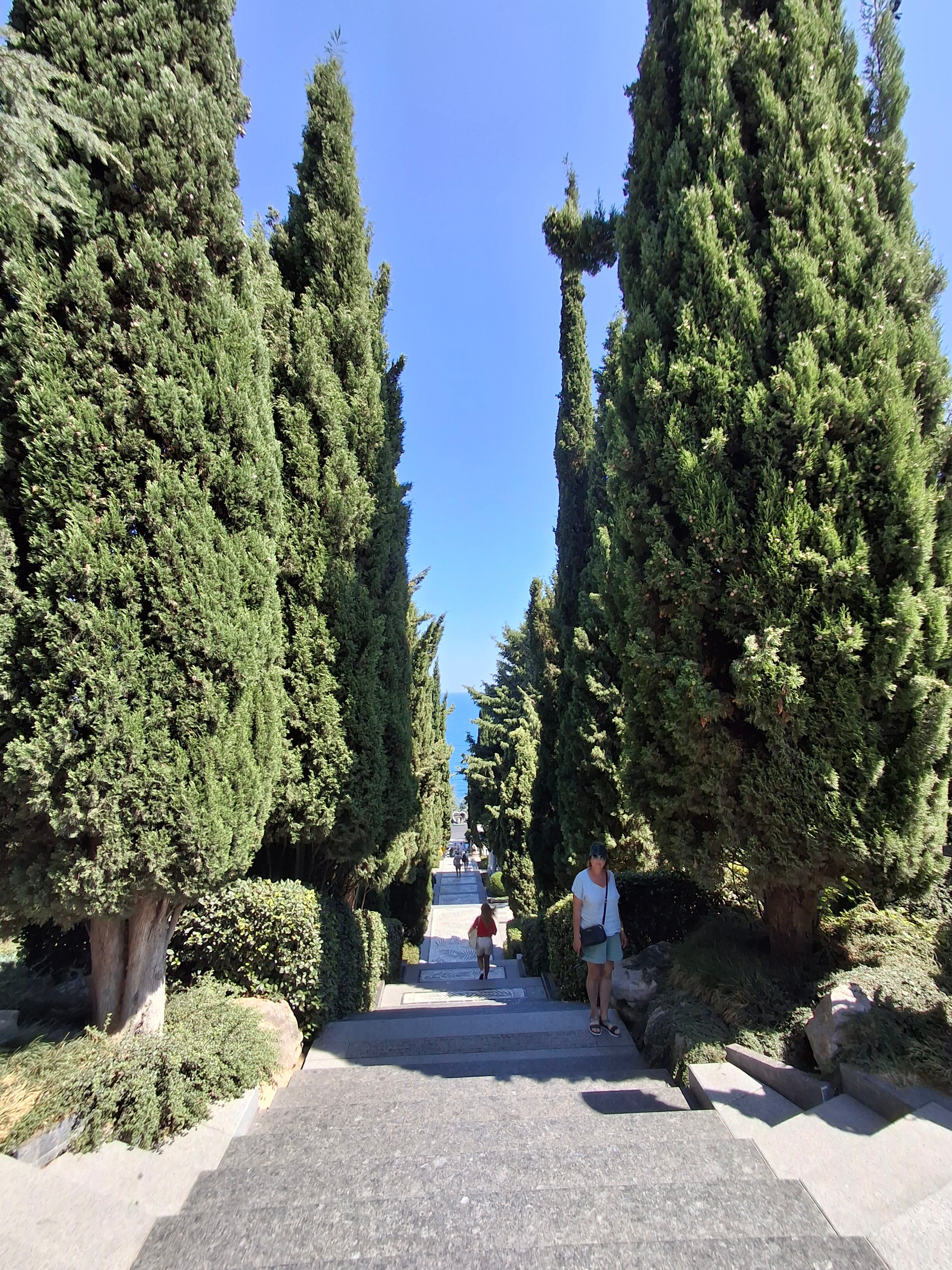 Фото Пилигрим