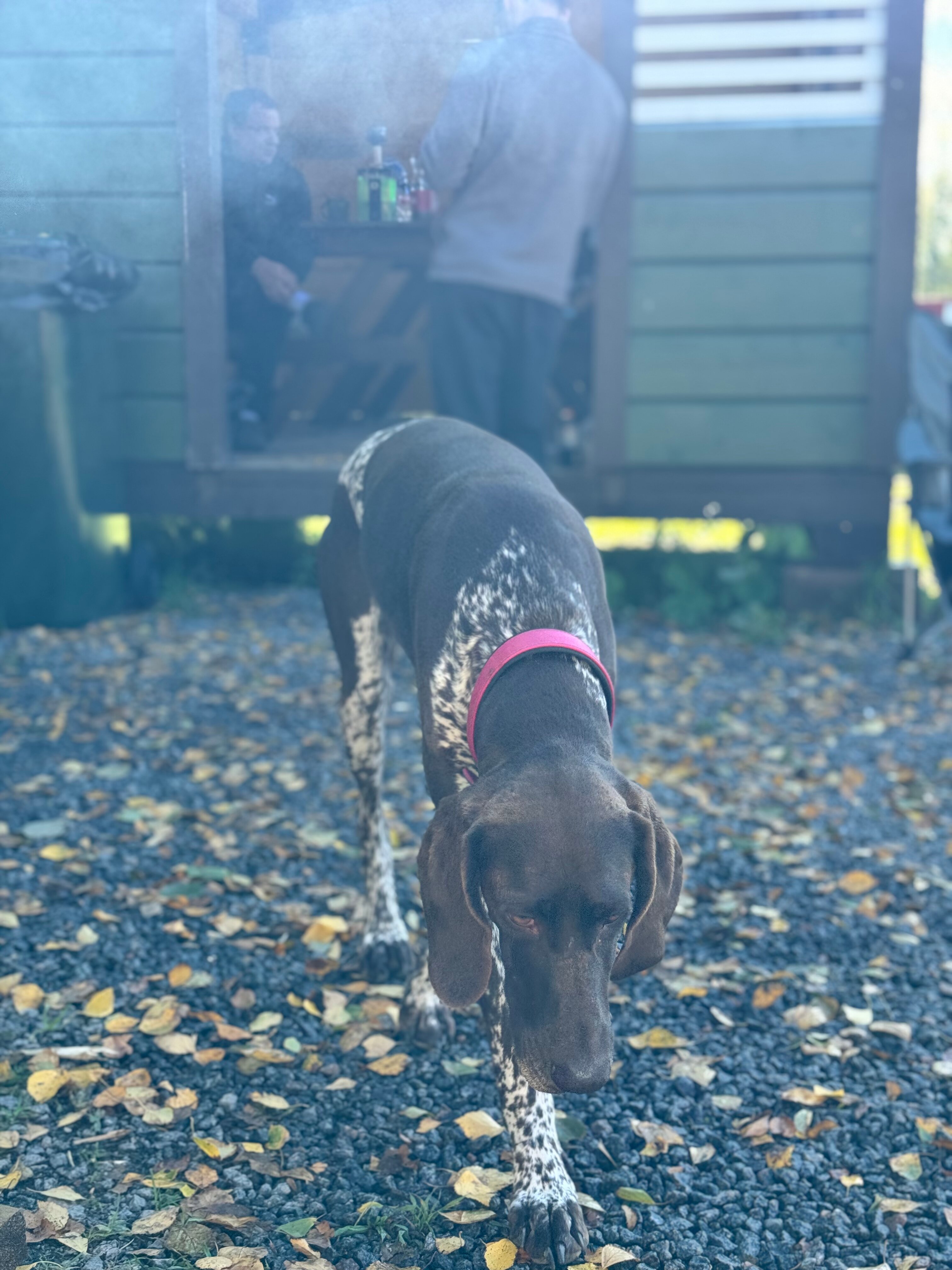 Фото Чё, по шхерам?