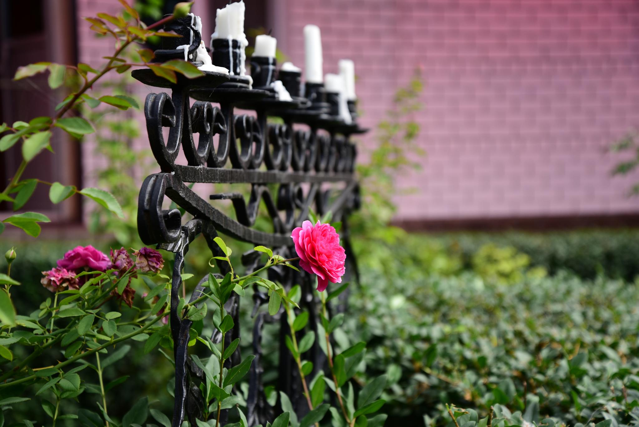 Фото Штурман