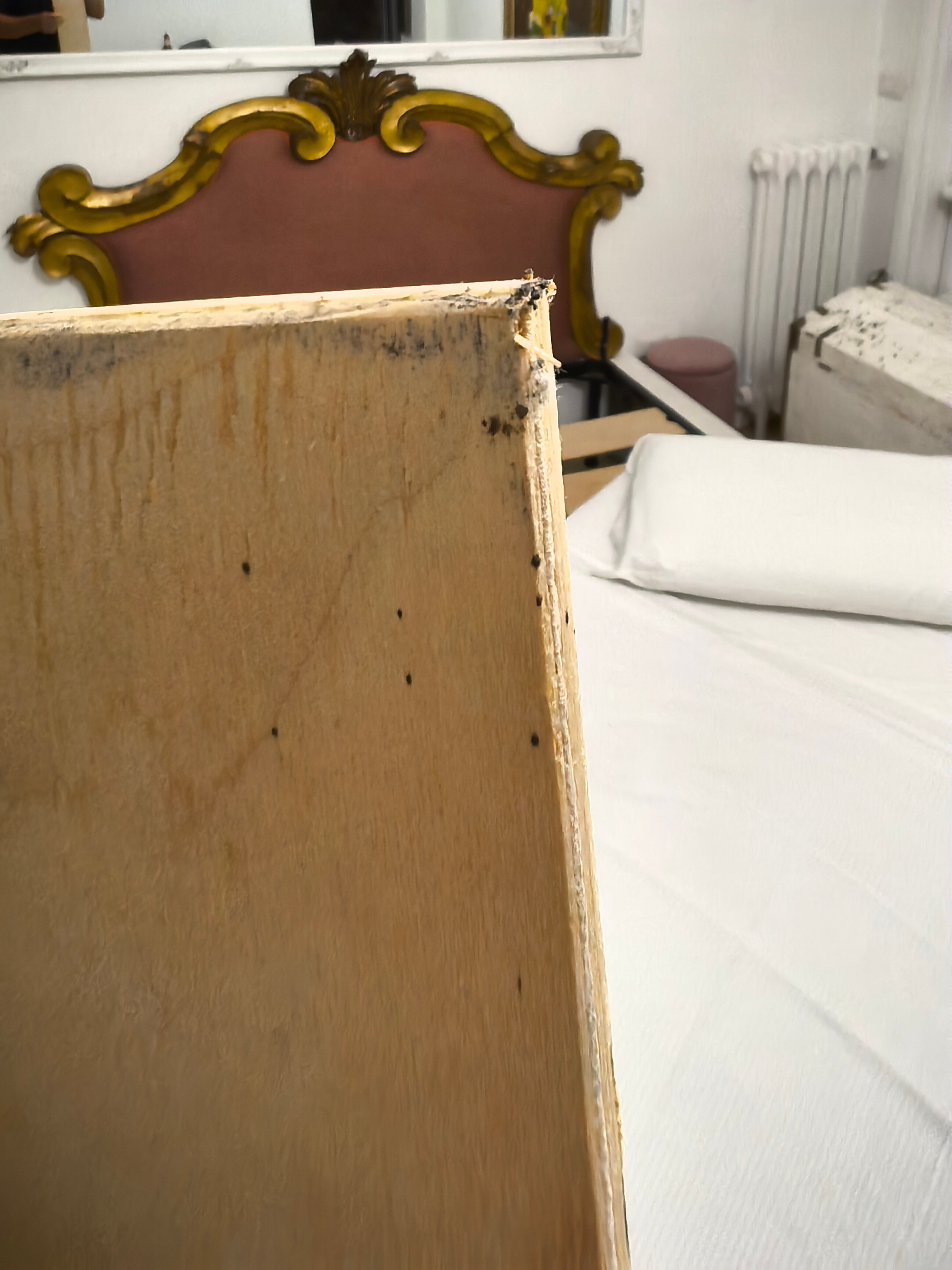 Фото St. Peter's mirror-Romantic view