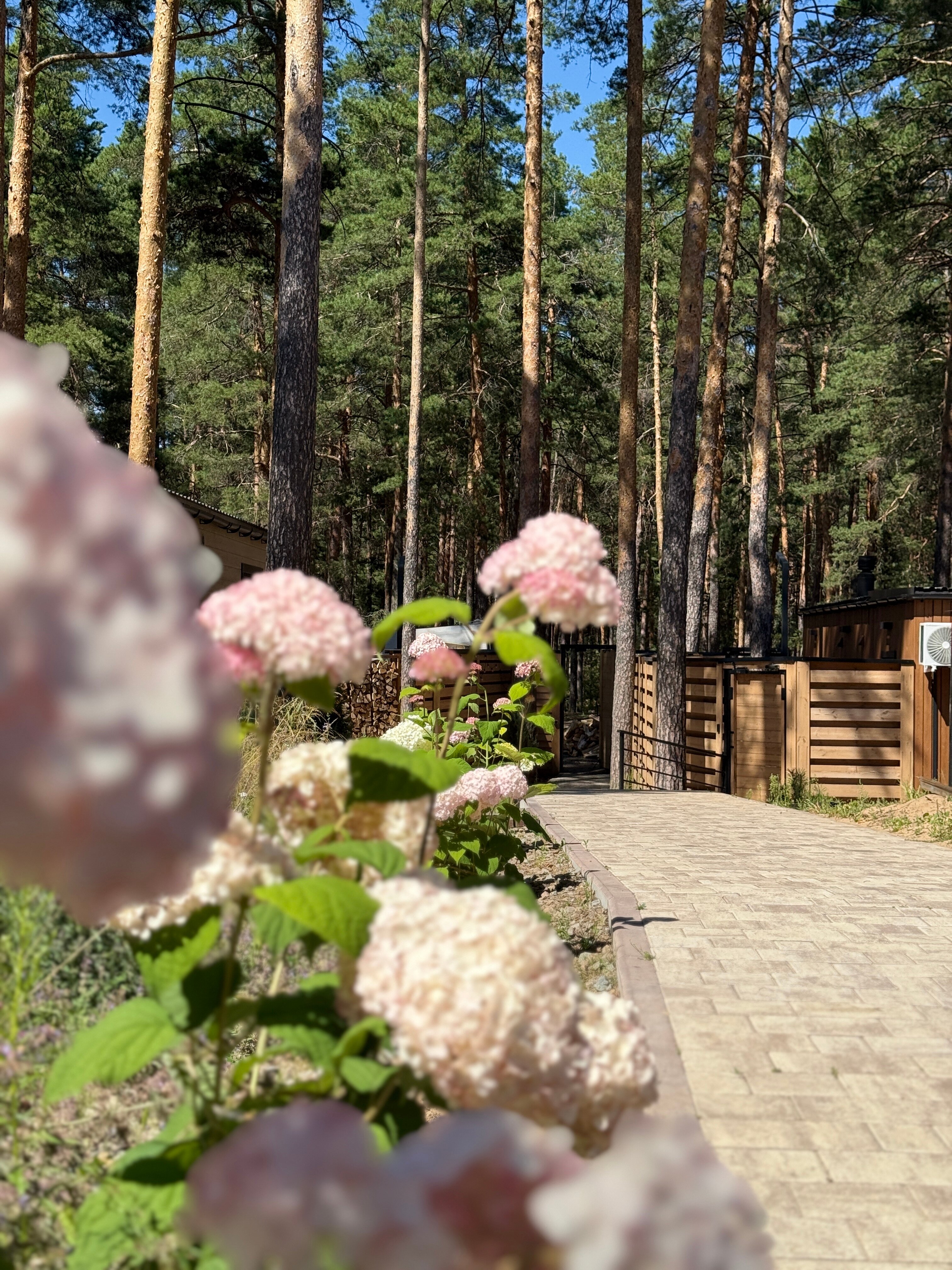 Фото Янтарь