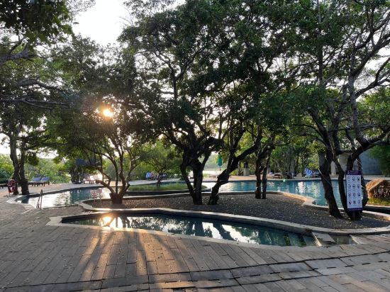 Фото Cinnamon Wild Yala