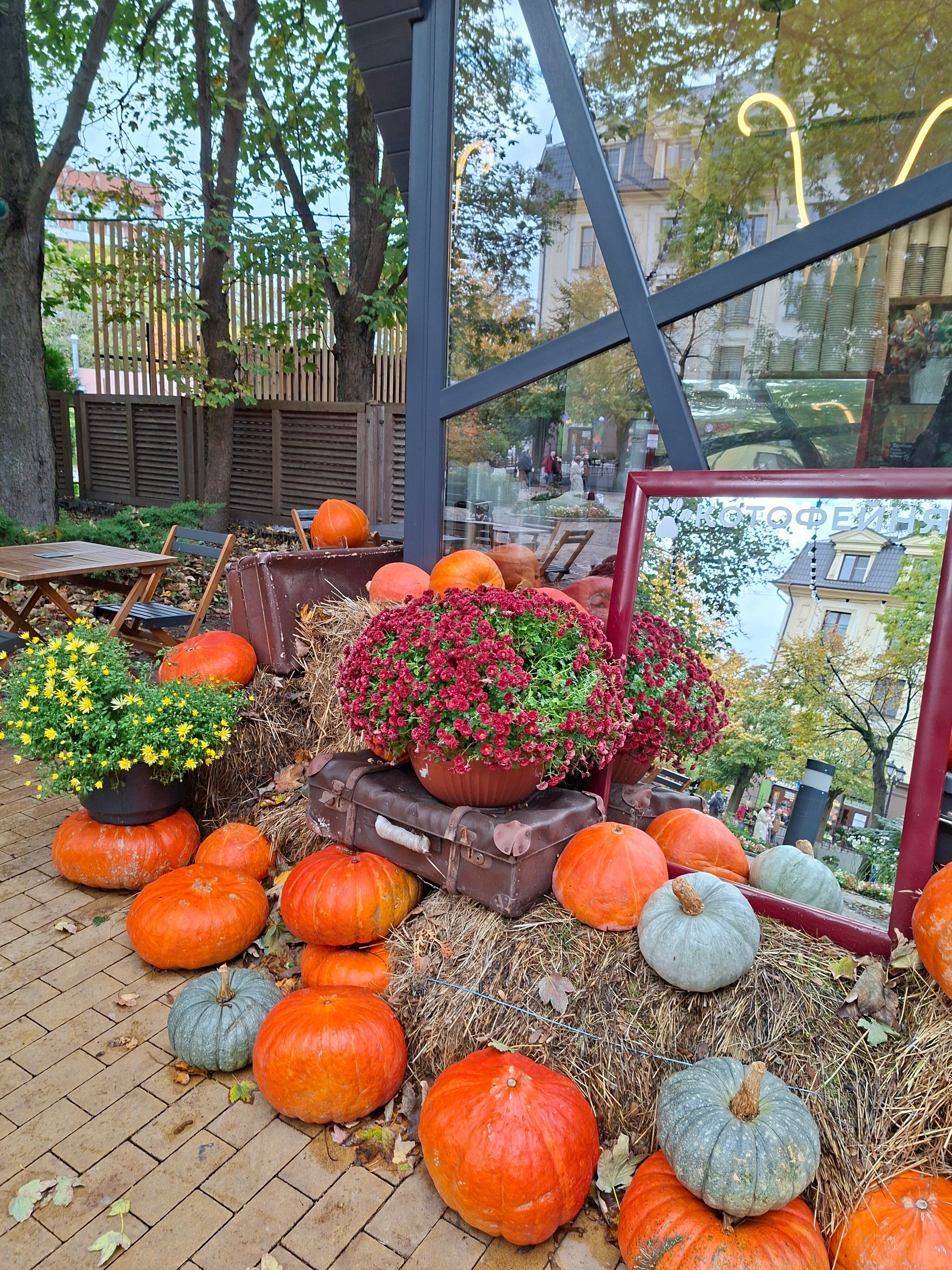 Фото Элиза Бонапарт