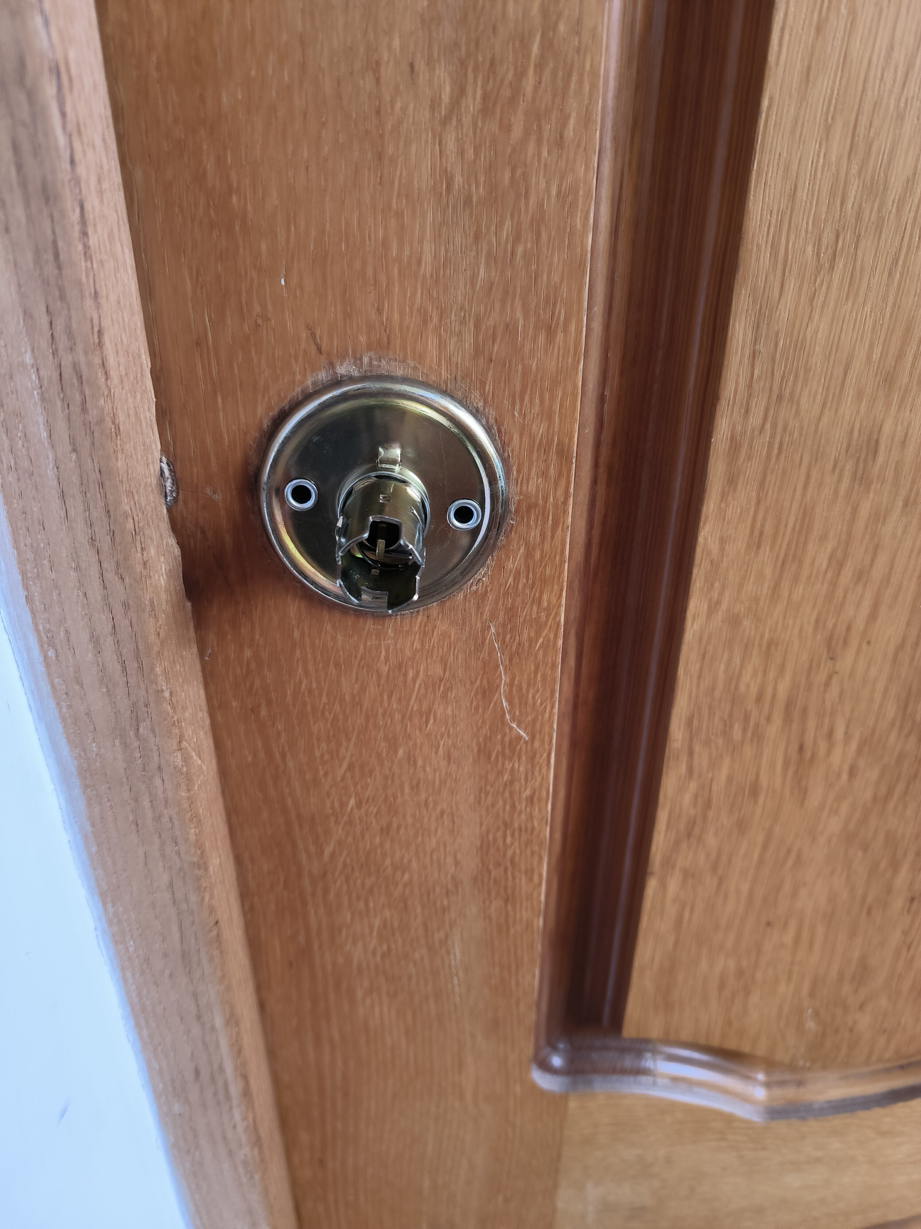 Фото Жемчужина Сочи