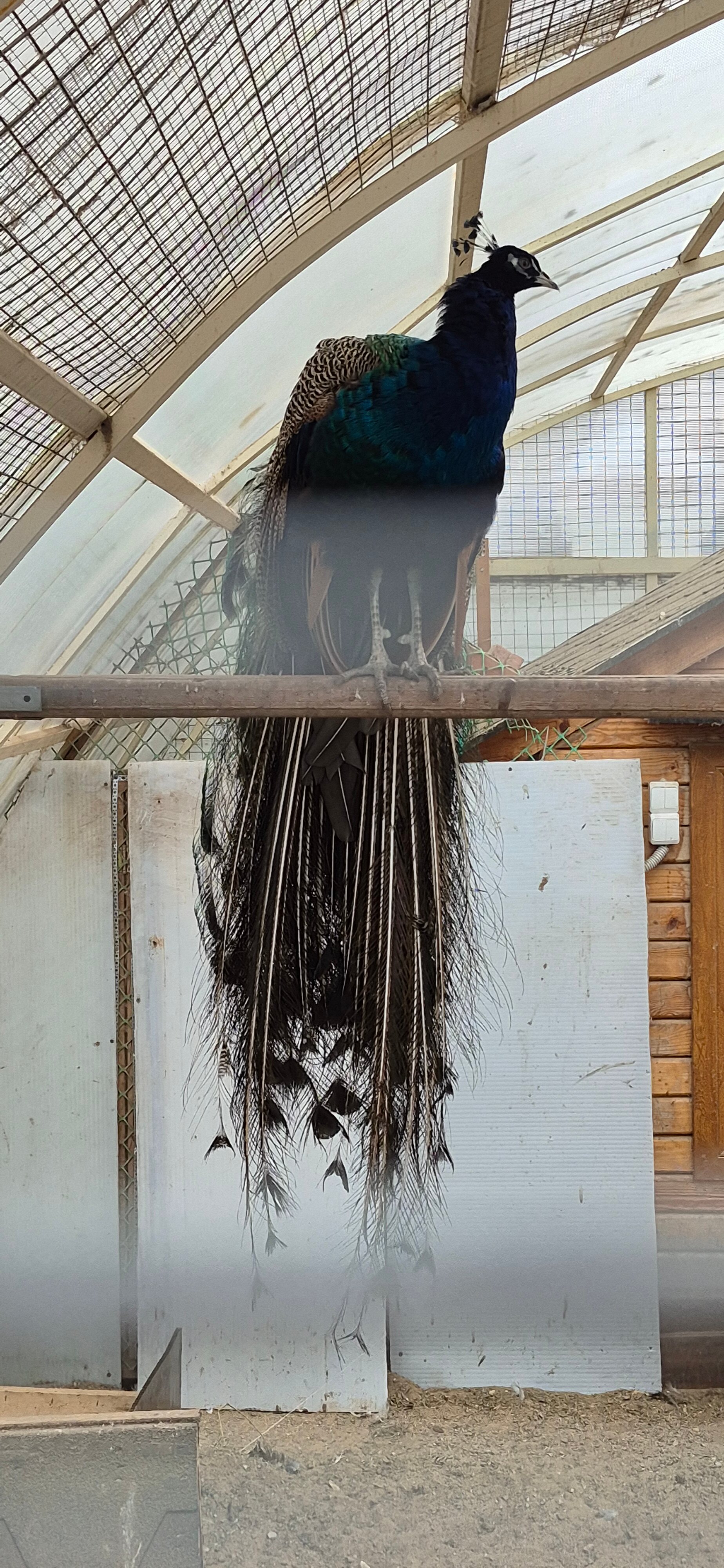 Фото Николаевский Посад