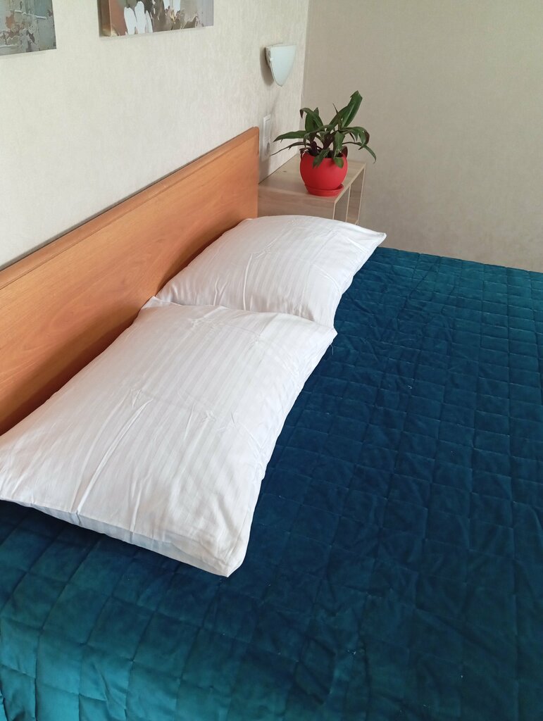 Hotel Апартаменты Уют-тут, Elektrogorsk, photo