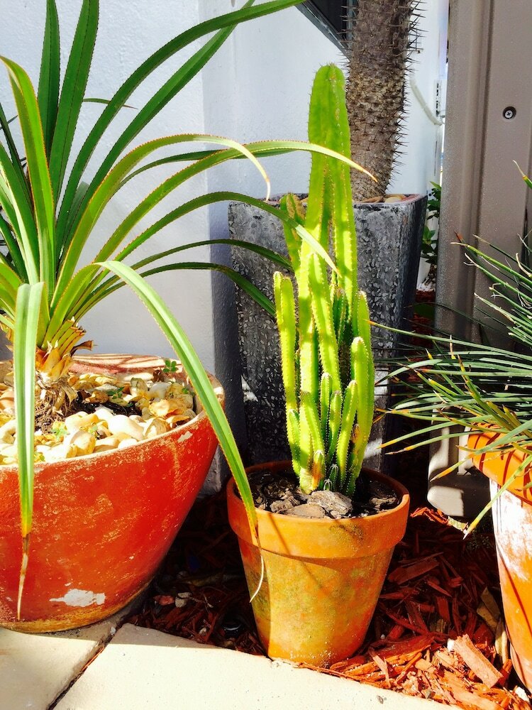 Фото Oasis Hotel