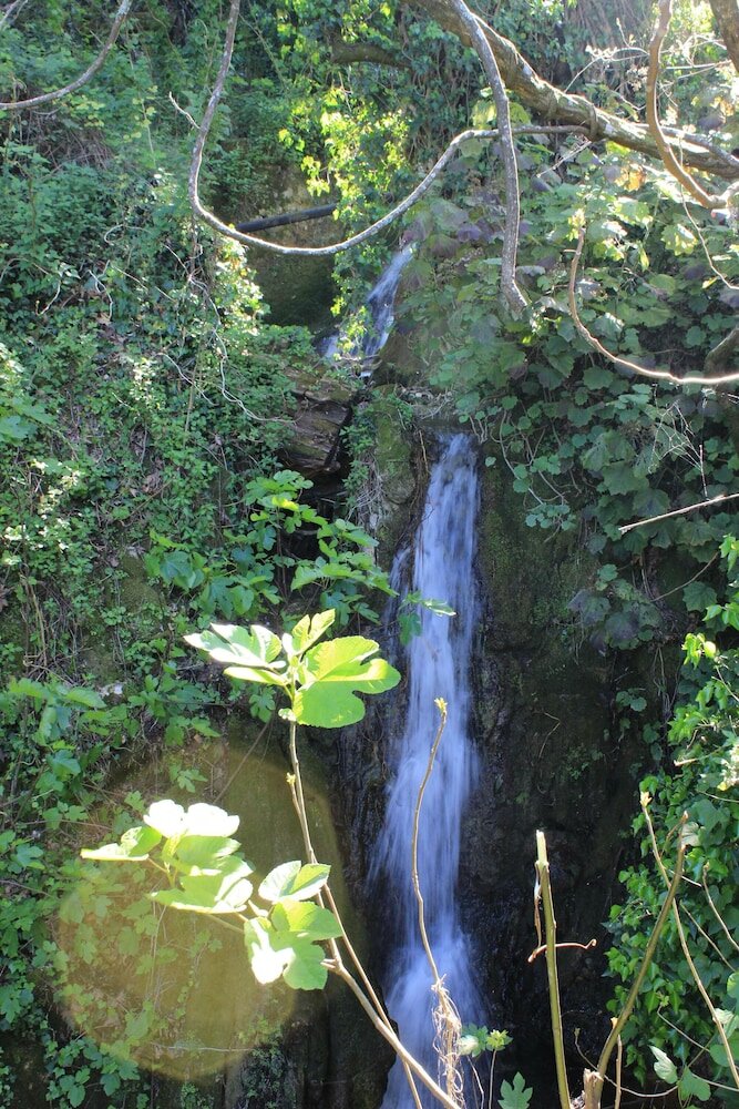 Фото Bella Vista Beach Hotel and Studios