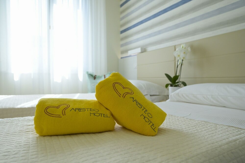 Фото Hotel Aristeo