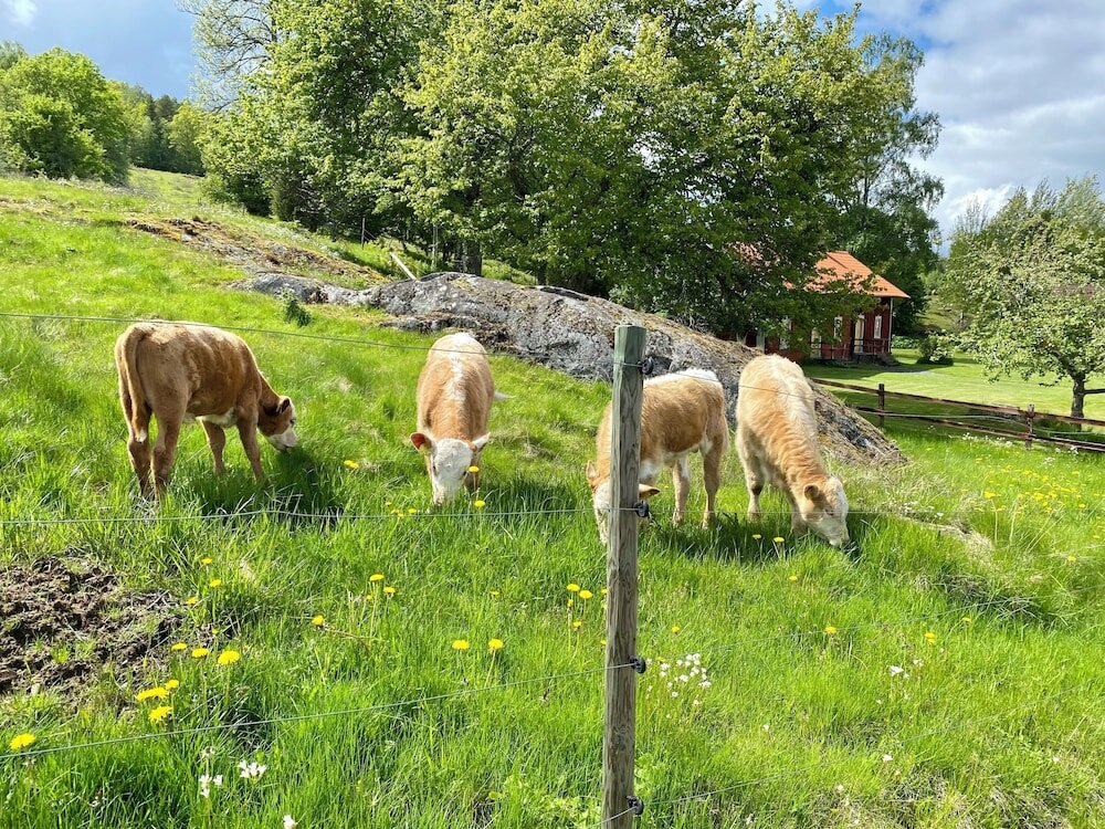 Фото Wallby Säteri