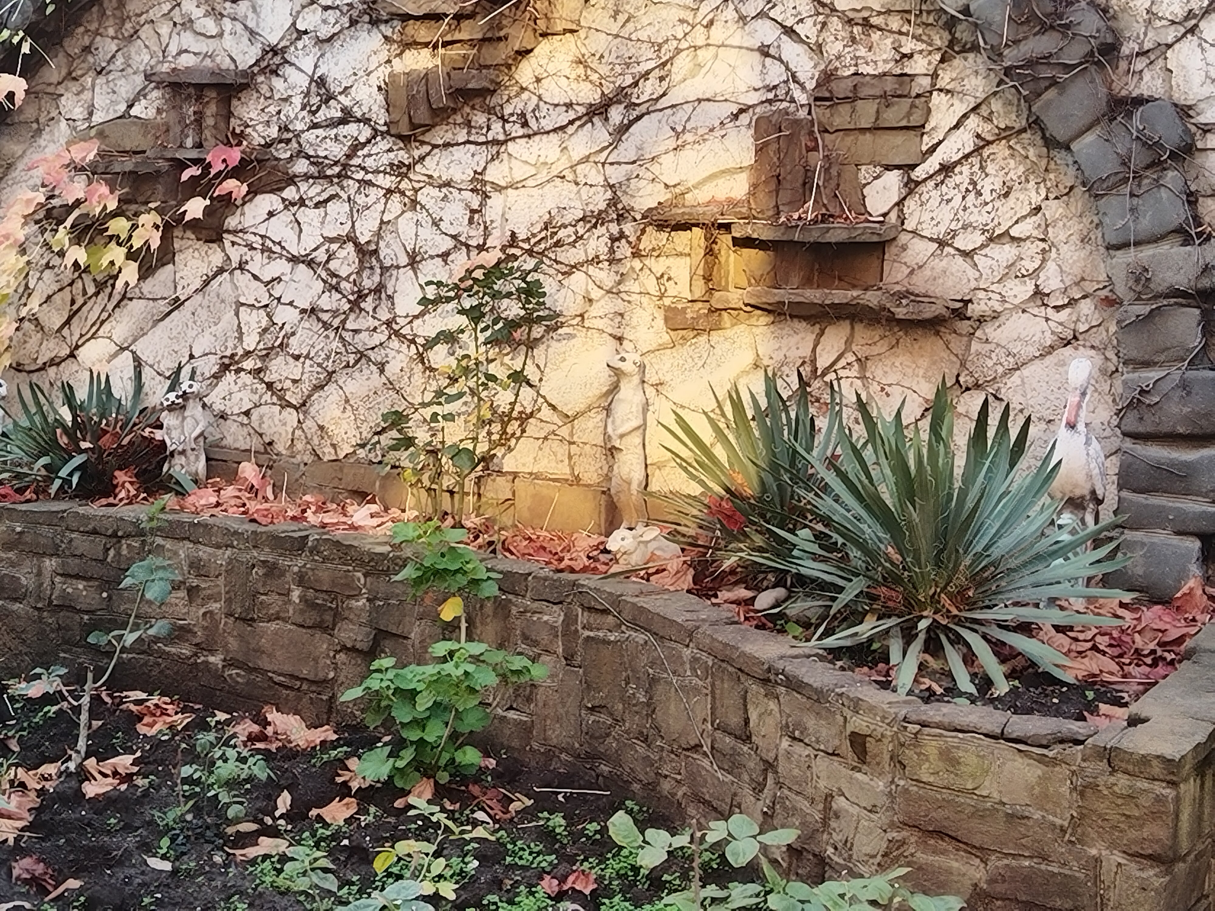 Фото Mango Hotel