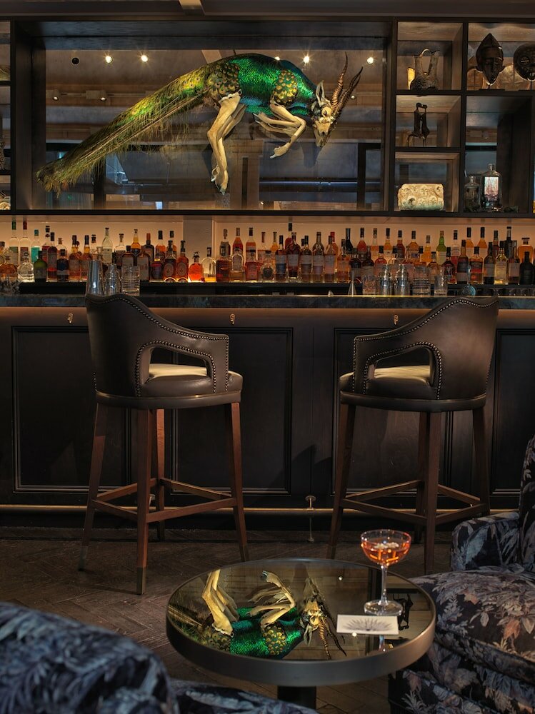 Фото The Mandrake