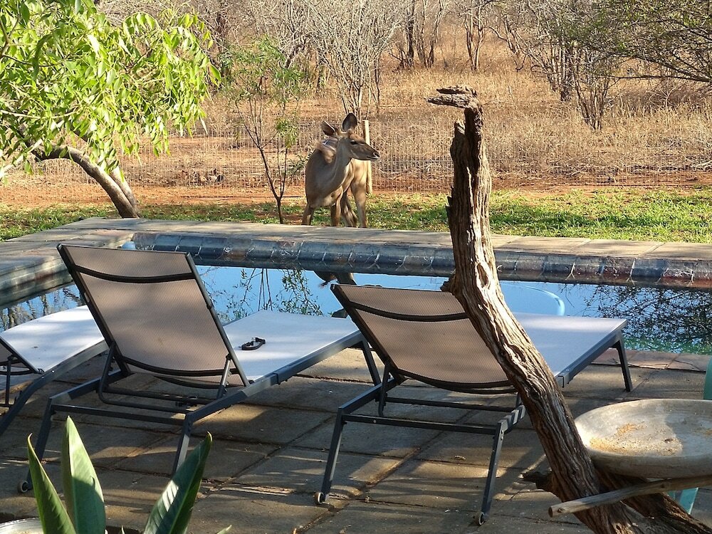 Фото Call of the Wild Lodge