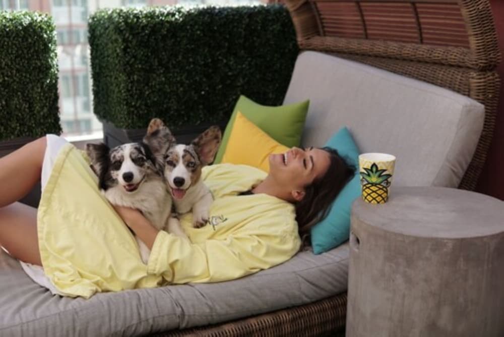 Фото Staypineapple, An Artful Hotel