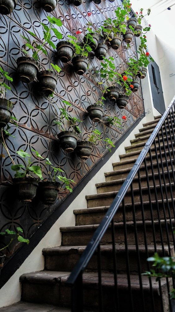 Фото Carlota Sustainable Design Hotel