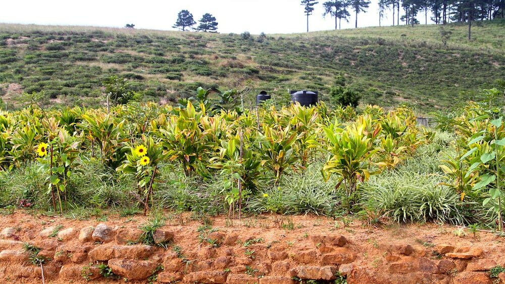 Фото Windloft Retreat