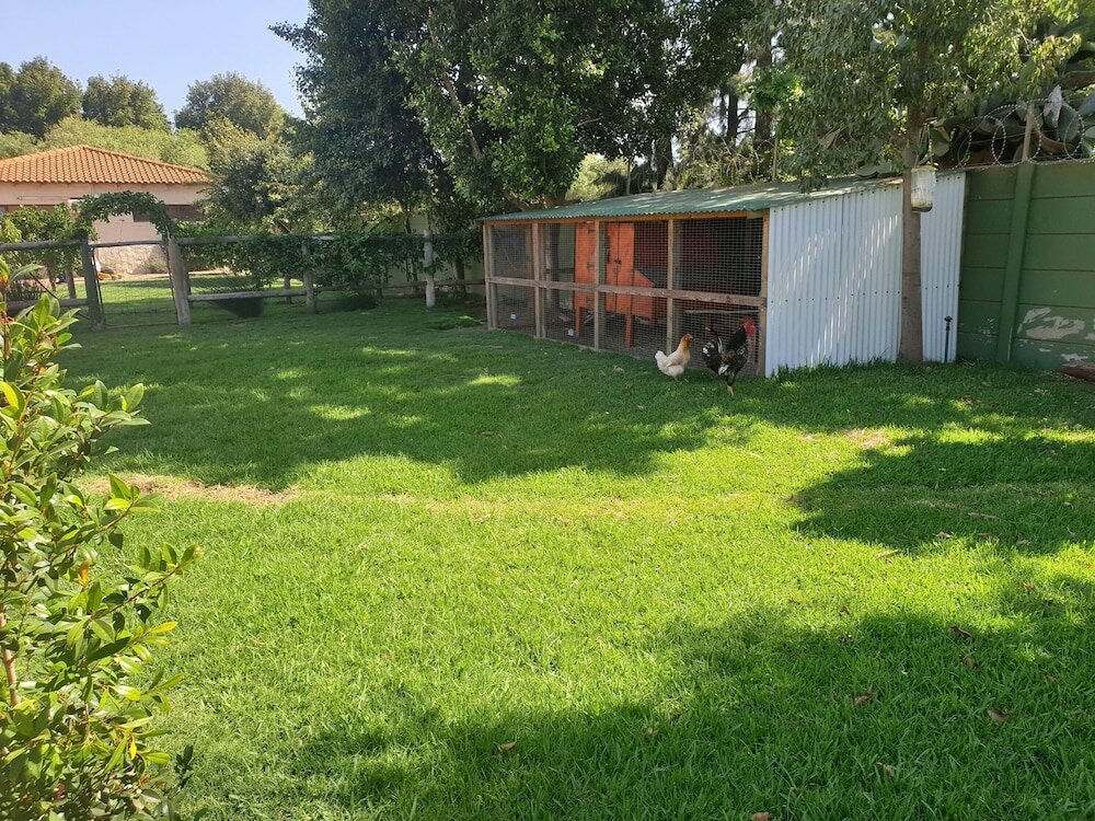 Фото New Hunters Moon