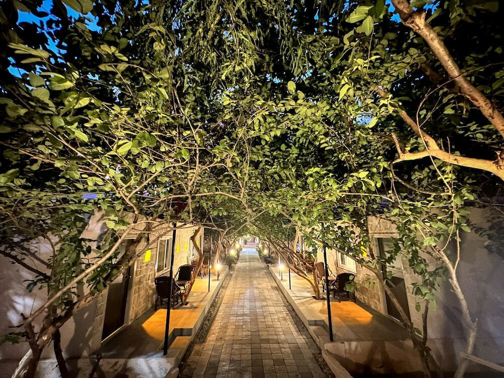 Фото Ranthambhore National Resort