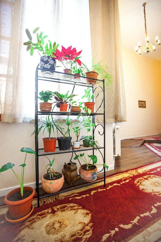 Фото Отель Руставели