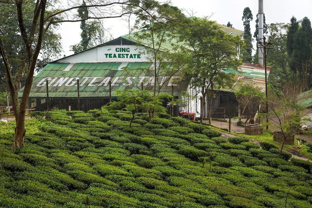 Фото Ging Tea House