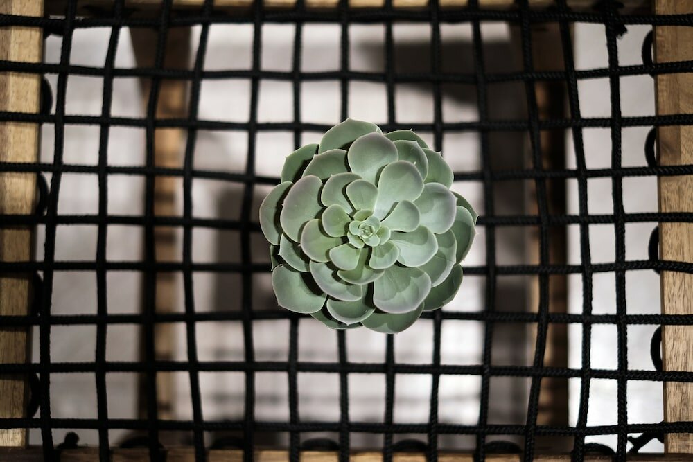 Фото Narawad Boutique Hotel