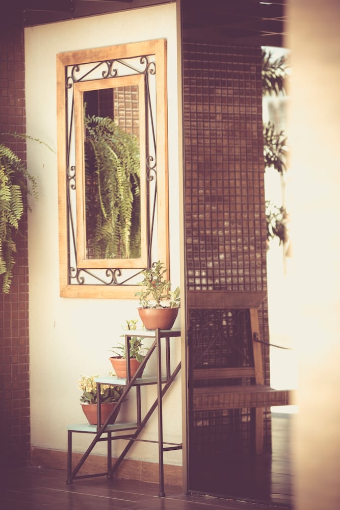 Фото Carppa Hotel