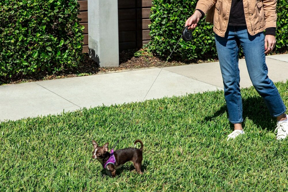 Фото Element Orlando International Drive