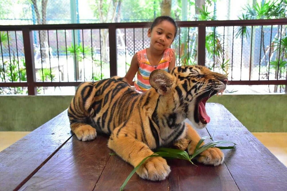 Фото Phoenix Grand Patong