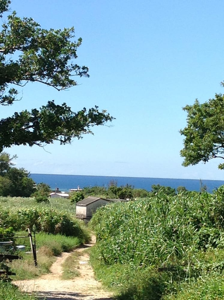 Фото Milk-ya Women-Only Guest House