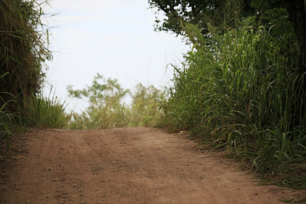 Фото Ella Eco Lodge