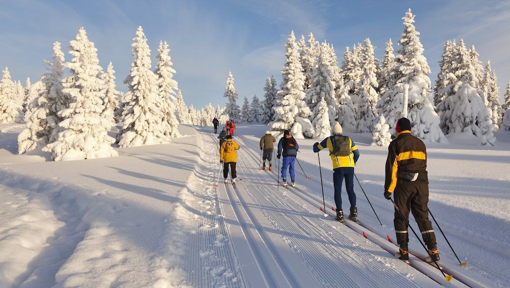 Фото Rodeway Inn