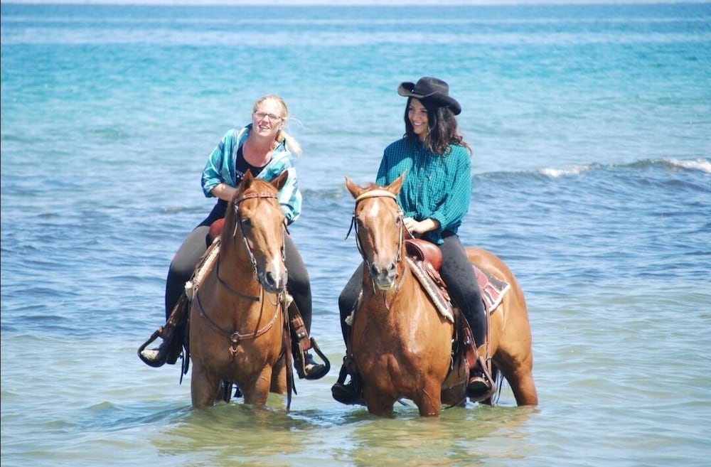 Фото Horse Country Resort Congress & SPA