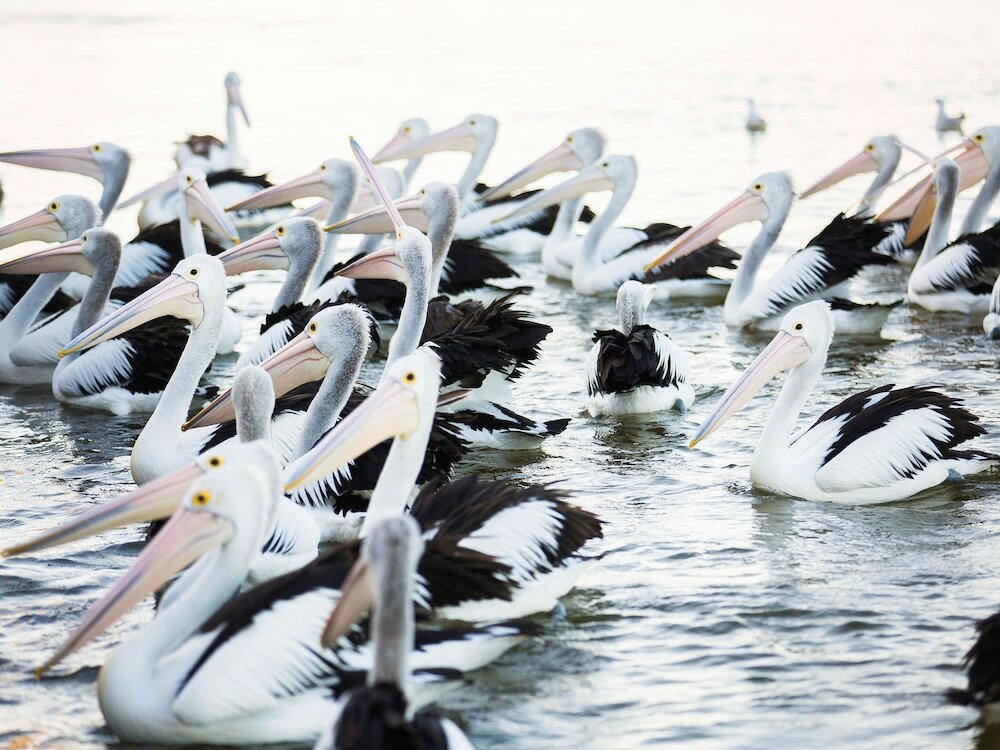 Фото Ibis Styles The Entrance
