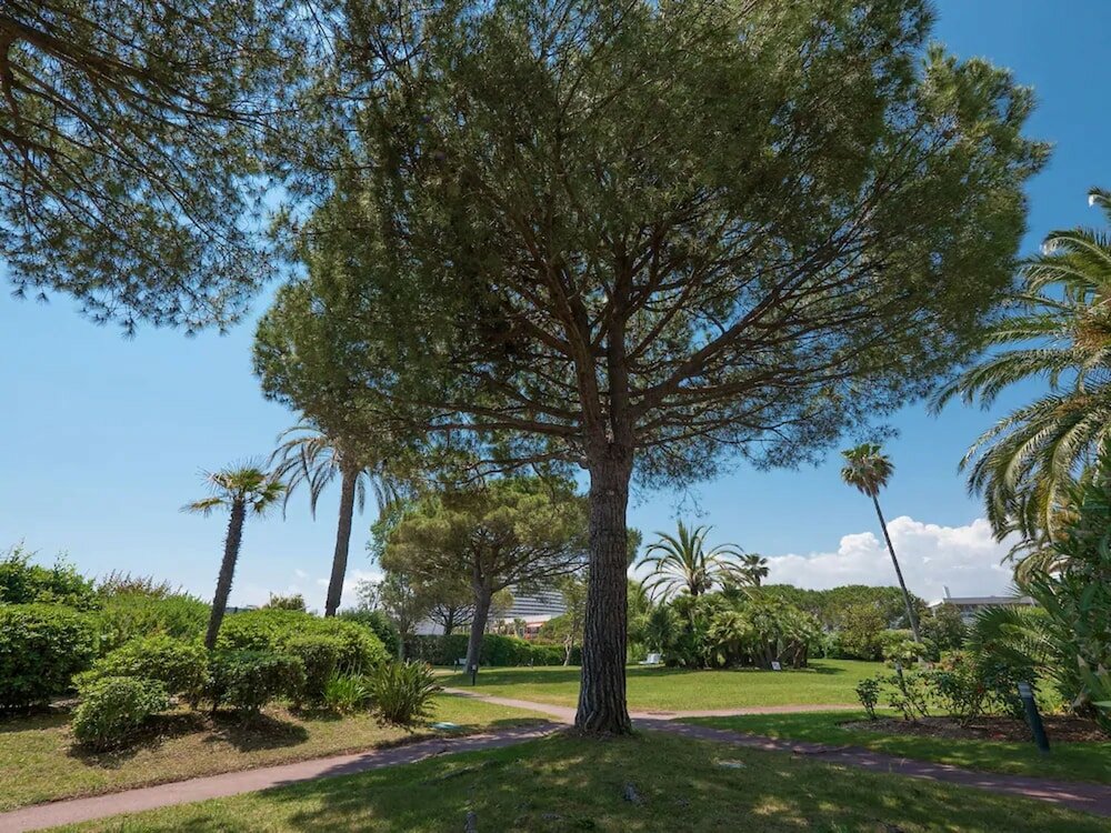 Фото Hotel Bahia