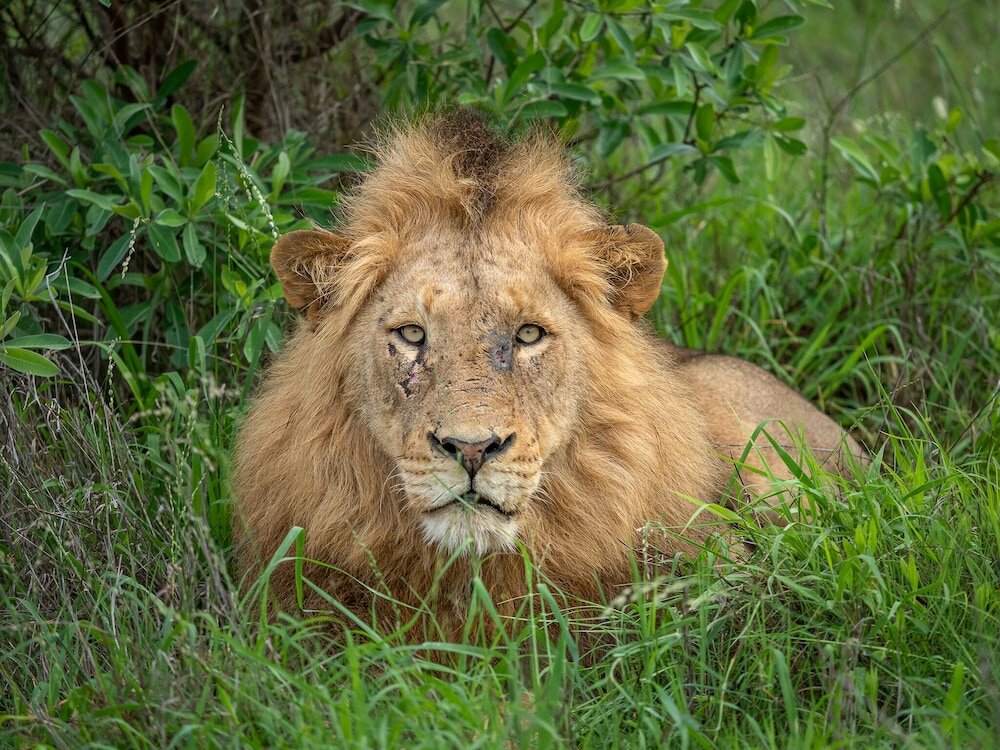 Фото 158997887249