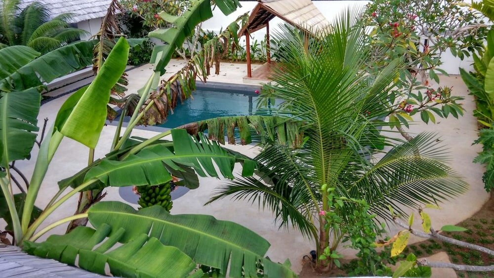 Фото Villa Kalachuchi B&b