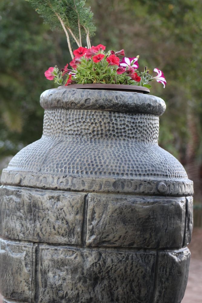 Фото French Lodge International