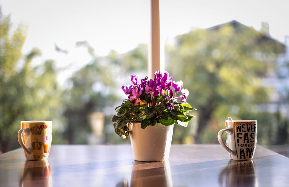 Фото Holy Rock - Hostel