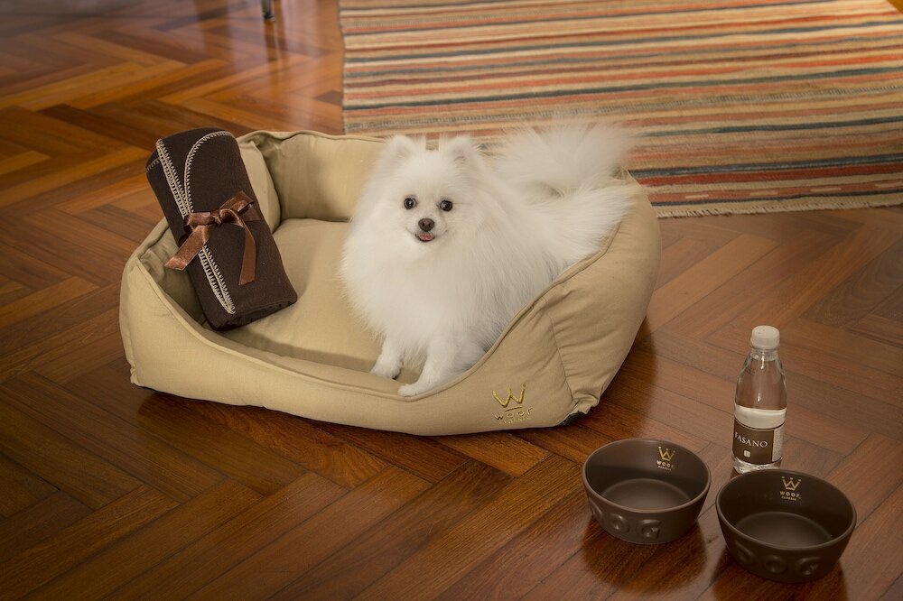 Фото Hotel Fasano Salvador