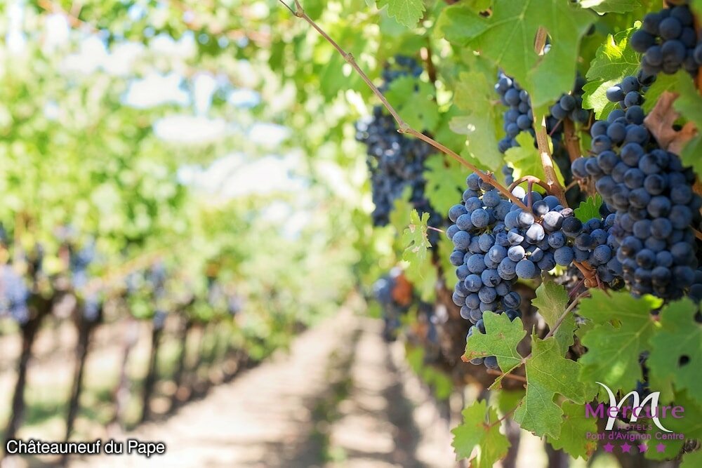 Фото Mercure Pont D'avignon Centre