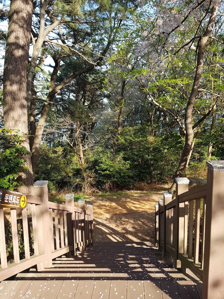 Фото Suntree Hotel