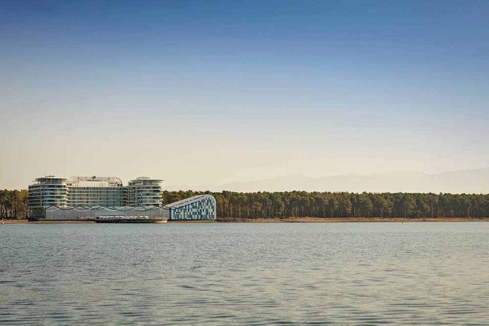 Фото Paragraph Resort & SPA Shekvetili Autograph Collection