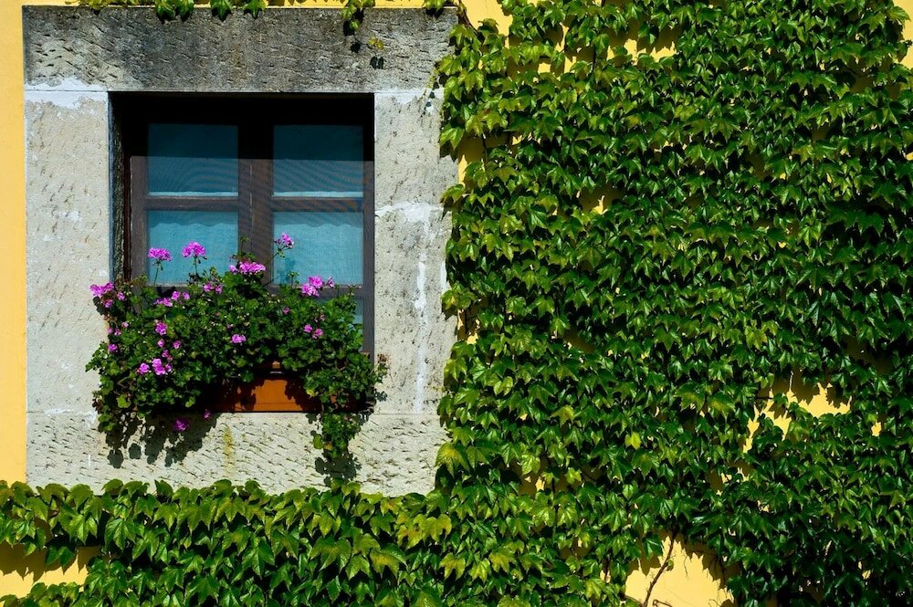 Фото Palacio de Cutre