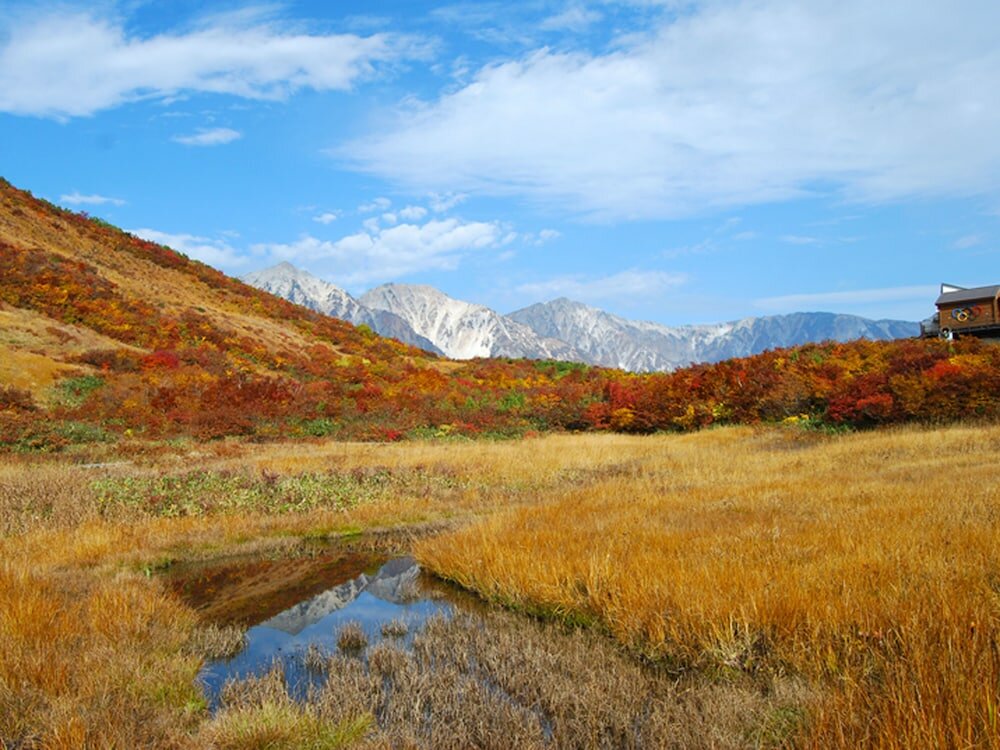 Фото Pension Ohayo