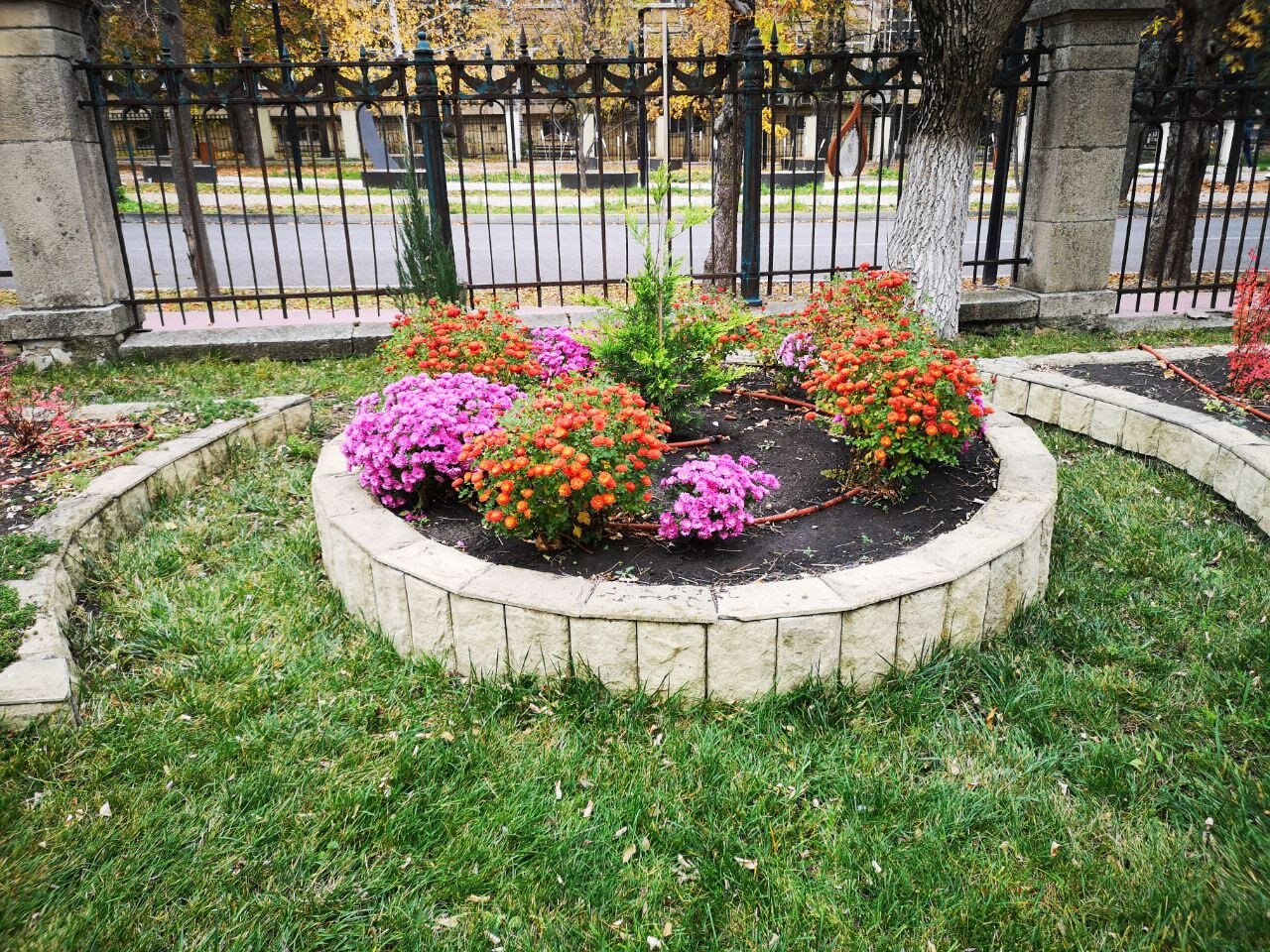 Фото Парк Шафран