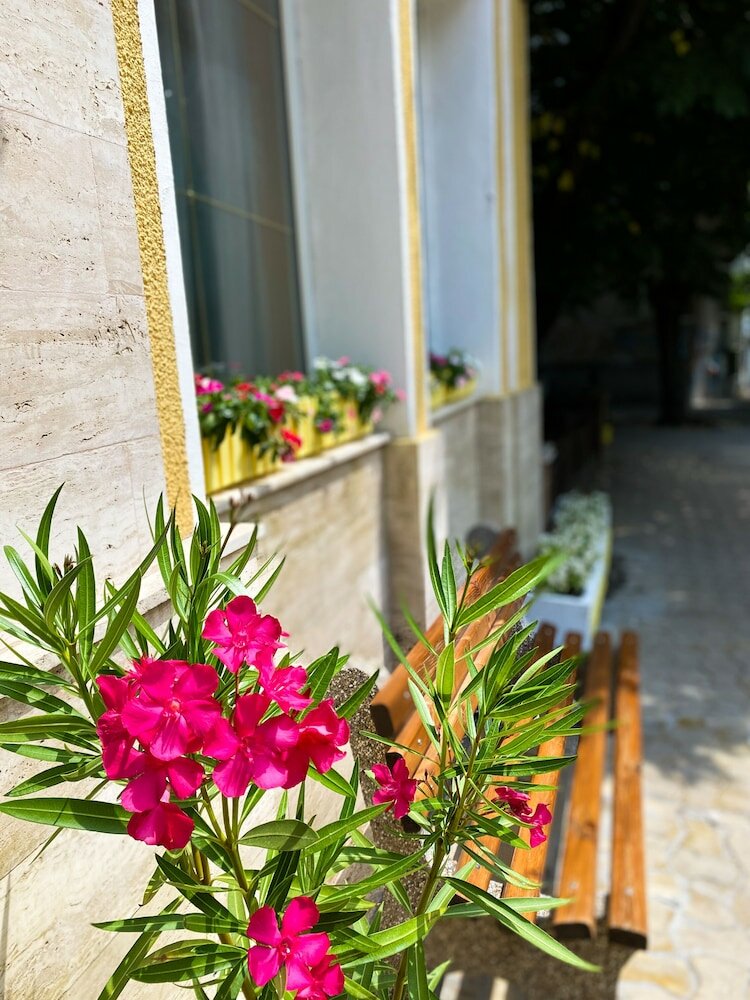 Фото Alegro Hotel