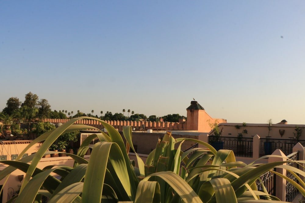 Фото 82502744235